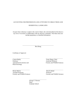 ACCOUNTING FOR PREFERENCES AND