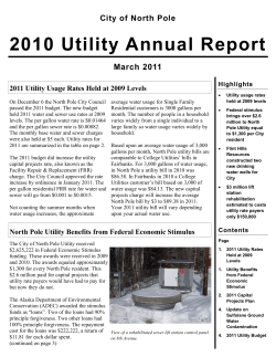 2010 Utility Annual Report