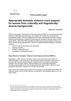 Appropriate domestic violence court support for women