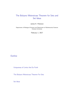The Bolzano Weierstrass Theorem for Sets and Set Ideas