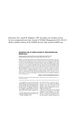 Secondary Use of Aspen Cavities by Tree-Roosting Big