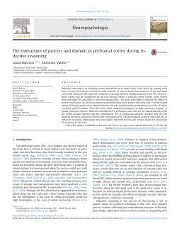 The interaction of process and domain in prefrontal cortex during