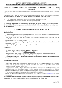 Internal Audit Application Form