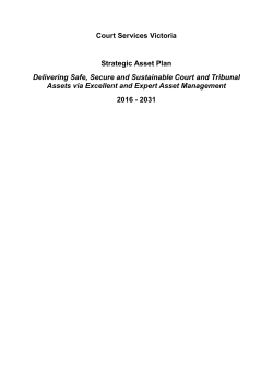 Strategic Asset Plan (MS Word)