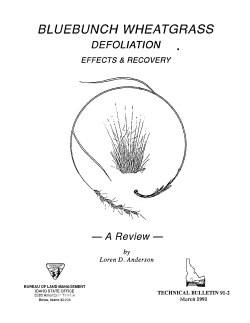 Anderson, L.D. 1991. Bluebunch wheatgrass defoliation, effects and
