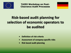 Risk-based audit planning
