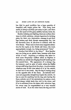 has died in good condition has a large quantity of beautiful, soft