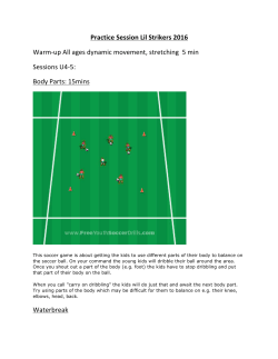 Lil` Striker Practice Plan 1