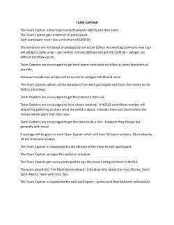 TEAM CAPTAIN The Team Captain is the major contact