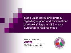 Trade union policy and strategy regarding support and coordination