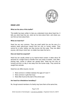 Head lice - British Association of Dermatologists