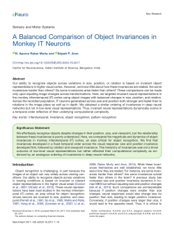 A Balanced Comparison of Object Invariances in Monkey