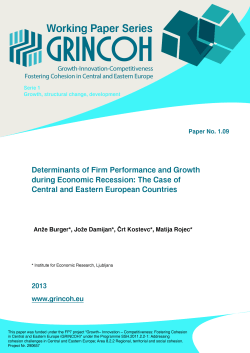 Determinants of Firm Performance and Growth during