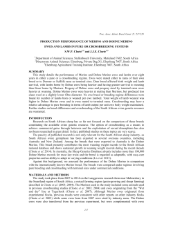 PRODUCTION PERFORMANCE OF MERINO AND