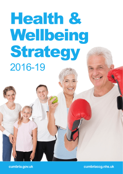 Health and Wellbeing Strategy 2016-19