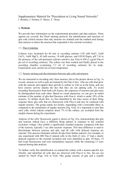 Percolation-Neurons_SUPPLEMENT