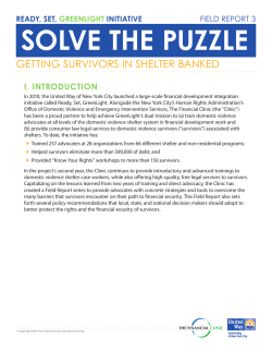 SOLVE THE PUZZLE - The Financial Clinic