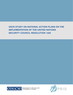 OSCE Study on National Action Plans on the Implementation