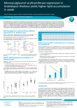 Monoacylglycerol acyltransferase expression in Arabidopsis