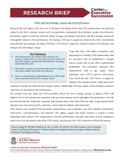 CEOs and Firm Strategic Actions and Firm Performance Key