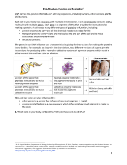 DNA Structure, Function and Replication 1