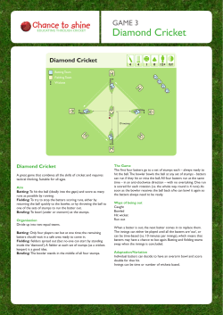 Diamond Cricket