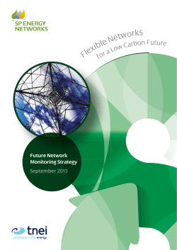 Flexible Networks - SP Energy Networks