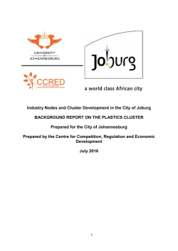 Industry Nodes and Cluster Development in the City