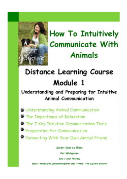 How To Intuitively Communicate With Animals - Sarah