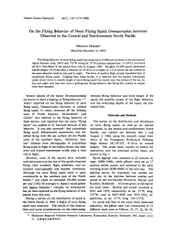 On the Flying Behavior of Neon Flying Squid Ommastrephes