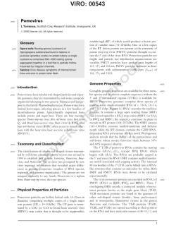 ELSEVIER FIRST PROOF