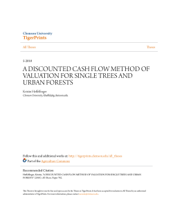 a discounted cash flow method of valuation for single