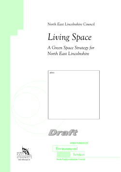 Green Space Strategy for North East Lincolnshire