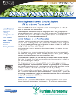 Thin Soybean Stands: Should I Replant, Fill In