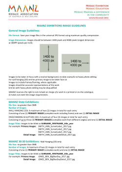 Exhibition Image Guidelines