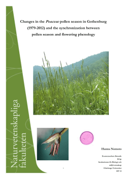 Poaceae pollen season - Institutionen f&ouml;r biologi och milj&ouml;vetenskap