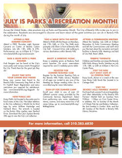 2016 play ball summer initiative