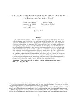 The Impact of Firing Restrictions on Labor Market Equilibrium in the