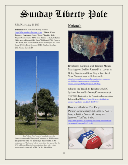 Sunday Liberty Pole - San Fernando Valley Patriots