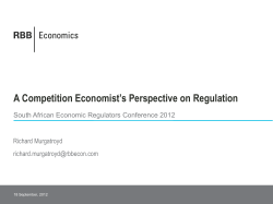 A Competition Economist`s Perspective on Regulation