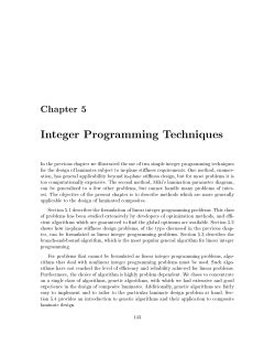 Integer Programming Techniques