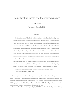 Belief-twisting shocks and the macroeconomy