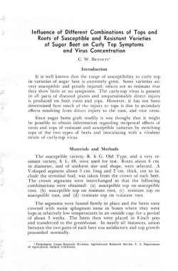 Influence of different combinations of tops and roots of susceptible
