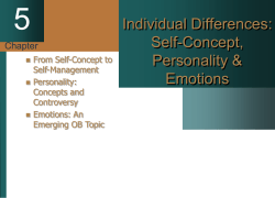 Organizational Behavior