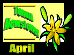 Newsletter