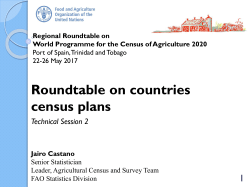 Roundtable on countries census plans, approaches and