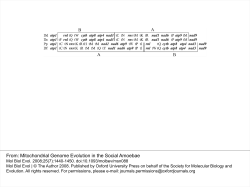 Mitochondrial Genome Evolution in the Social Amoebae