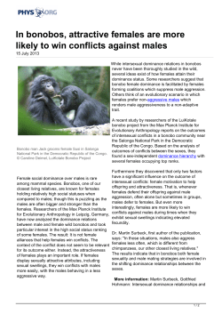 In bonobos, attractive females are more likely to win