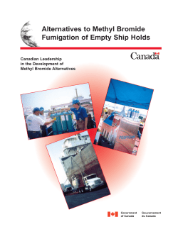 Alternatives to Methyl Bromide Fumigation of Empty Ship Holds