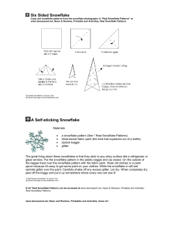 Six Sided Snowflake A Self